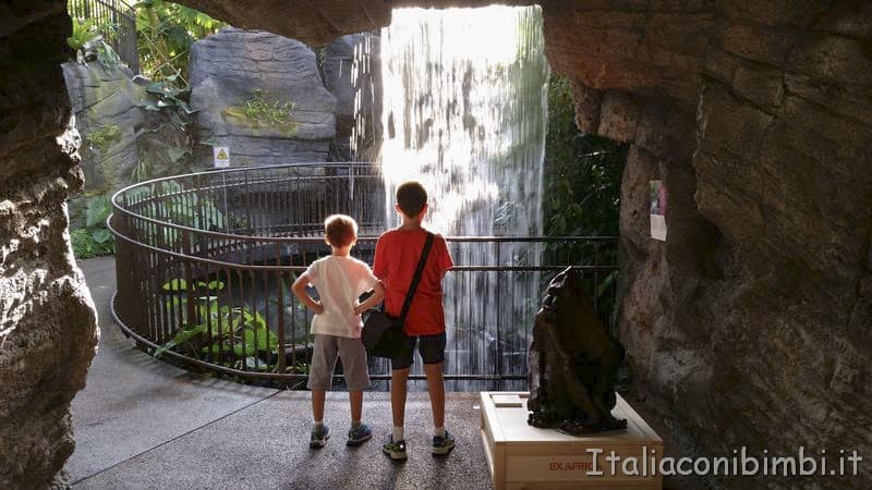 Muse di Trento- serra tropicale