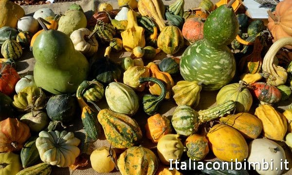 zucche alla sagra delle castagne di Marradi