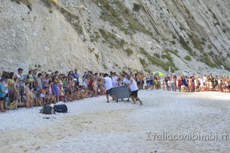 Rilascio della tartaruga spiaggia delle due sorelle - tartaruga sulla spiaggia